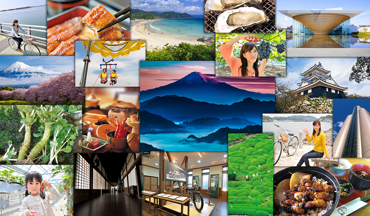 Shizuoka Prefecture Business Directory Local Guide Biz