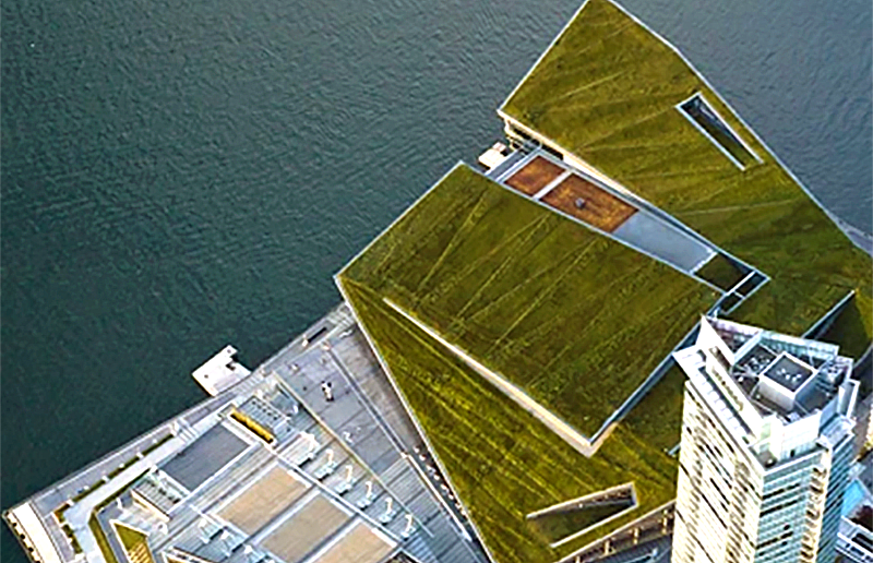 6 acres living roof